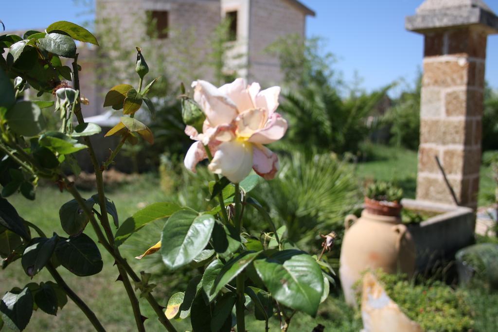 Sogliano Cavour Villa Padula المظهر الخارجي الصورة